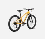 ORBEA MX 24 XC click to zoom image