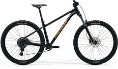 MERIDA Big Trail 300